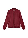 10245734 biking red