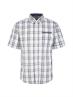 1037066 off white colorful check