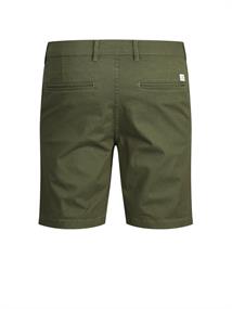 12175616 olive night