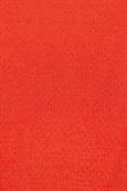 122EE1K319 red