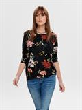 15144286 black-hannah flower