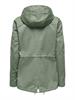 15216452 hedge green