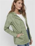 15216452 hedge green