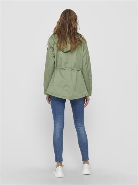 15216452 hedge green