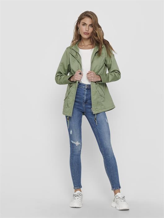 15216452-hedge-green