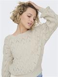 15222853 pumice stone