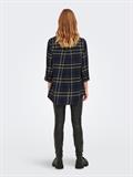 15236432 night sky-creme check