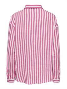 15271018 pink cosmos