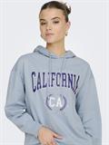 15278249 dusty blue
