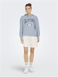 15278249 dusty blue