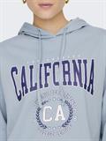 15278249 dusty blue
