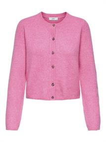 15330581 pink cosmos