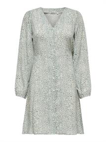 15370167 chinois green