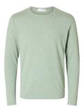 16079774 iceberg green