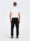 22016687 black