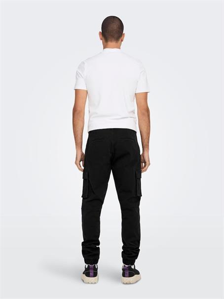 22016687 black