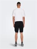 22016689 black
