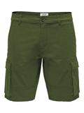22016689 olive night