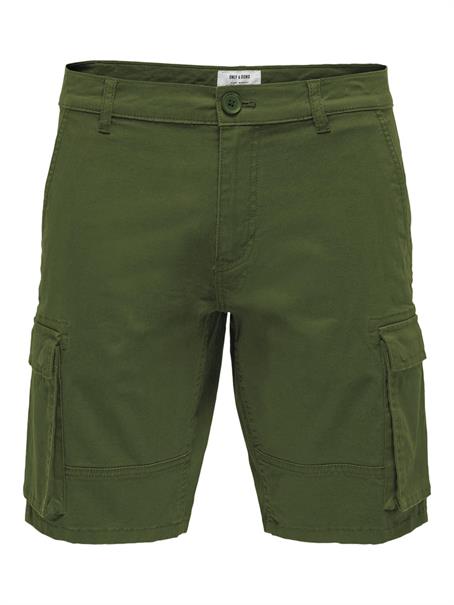 22016689 olive night