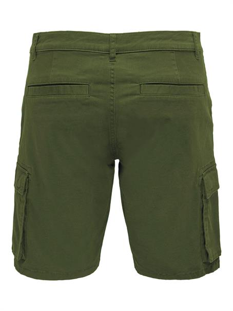 22016689 olive night