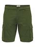 22016689 olive night