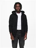 22018684 black