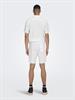22024967 bright white
