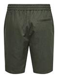22024967 olive night