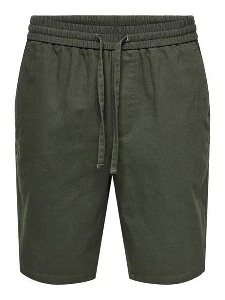 22024967 olive night