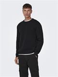 22025431 black