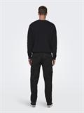 22025431 black