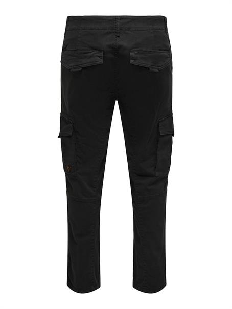 22025431 black