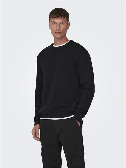 22025431-black