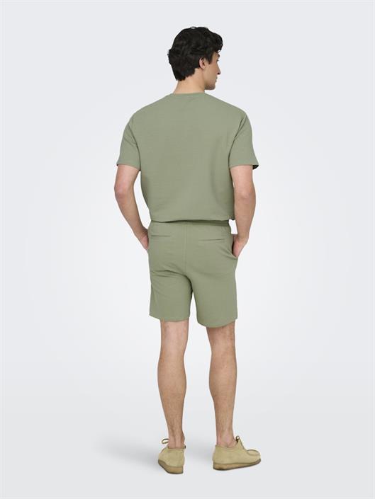 22029752-seagrass