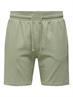 22029752 seagrass