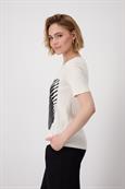 409732 seashell