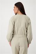 409792 bamboo
