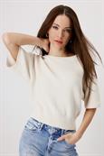 409948 seashell
