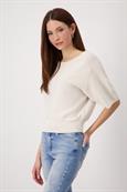 409948 seashell