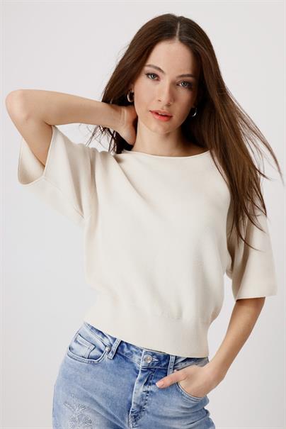 409948 seashell