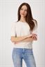 409948 seashell