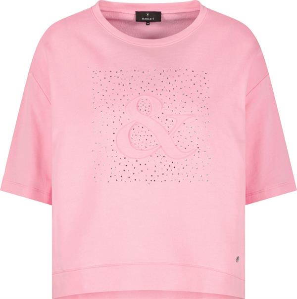 410170 spring flower