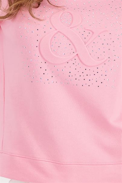 410170 spring flower