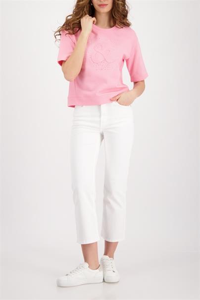 410170 spring flower