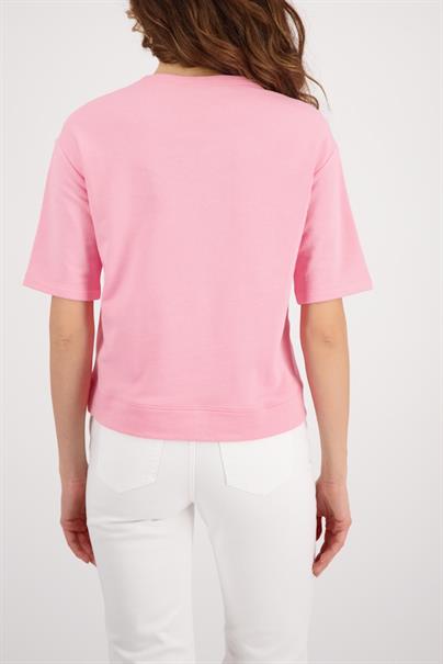 410170 spring flower