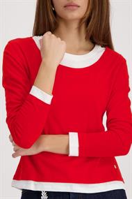 410179 chilli pepper