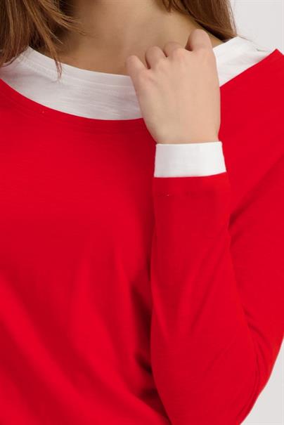 410179 chilli pepper