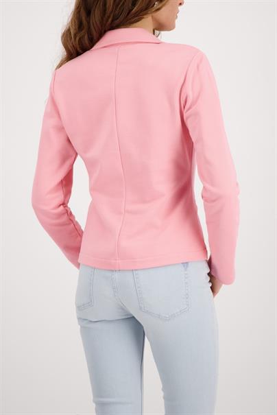 410199 spring flower