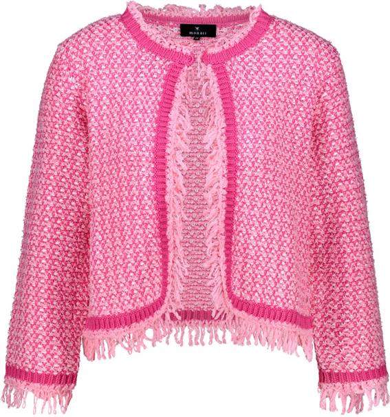 410386 spring flower