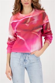 410432 spring flower gemustert